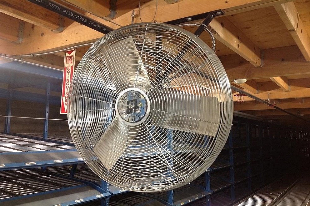 Wall Mounted Fan