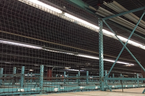 Warehouse Rack Netting