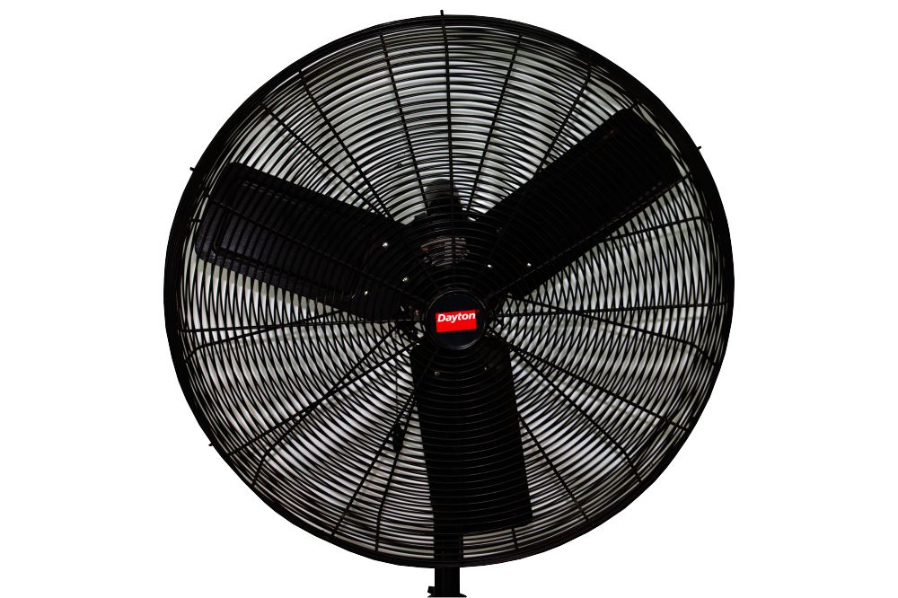 Fans Fans