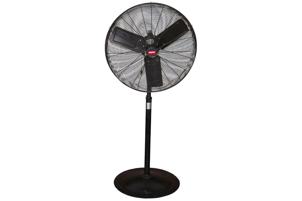 Pedestal Fans