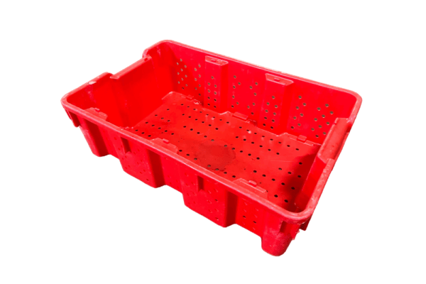 orbis bin